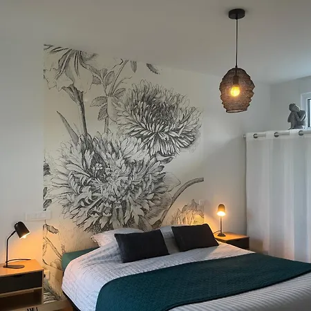 Pensión O'calme - 1 - Terrasse 3*